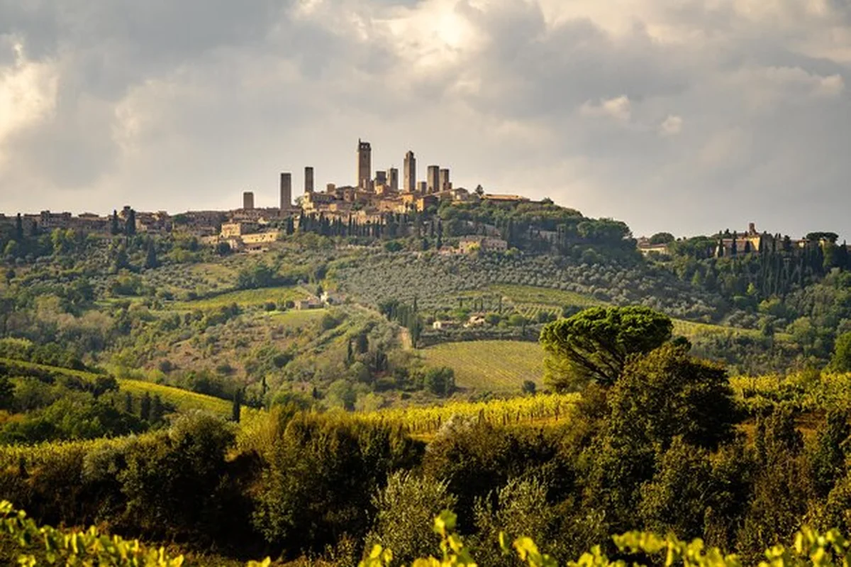 Panoramiczny widok San Gimignano we Włoszech z drzewami i średniowiecznymi budynkami