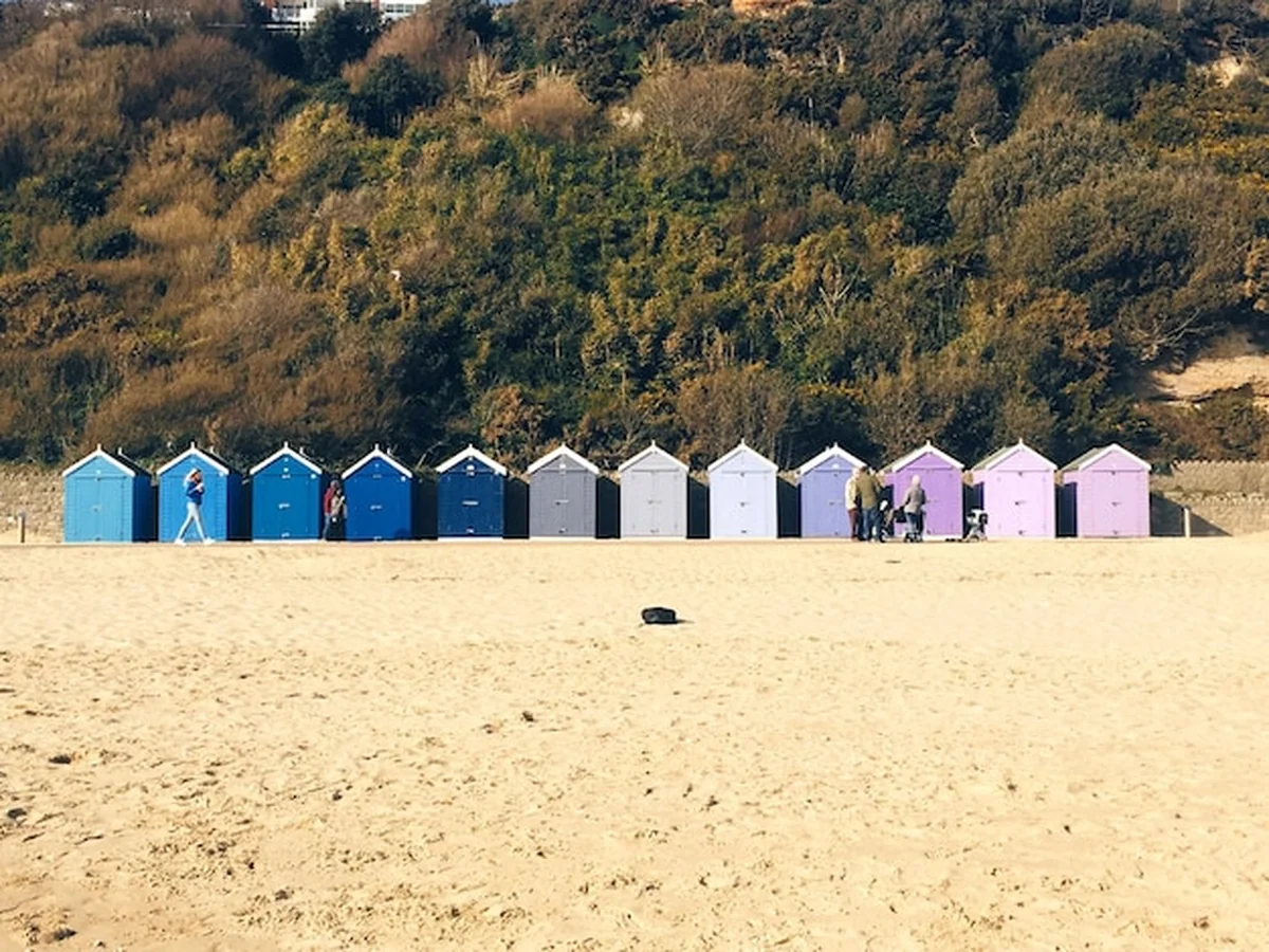 Chaty na piaszczystej plaży przy drzewach
