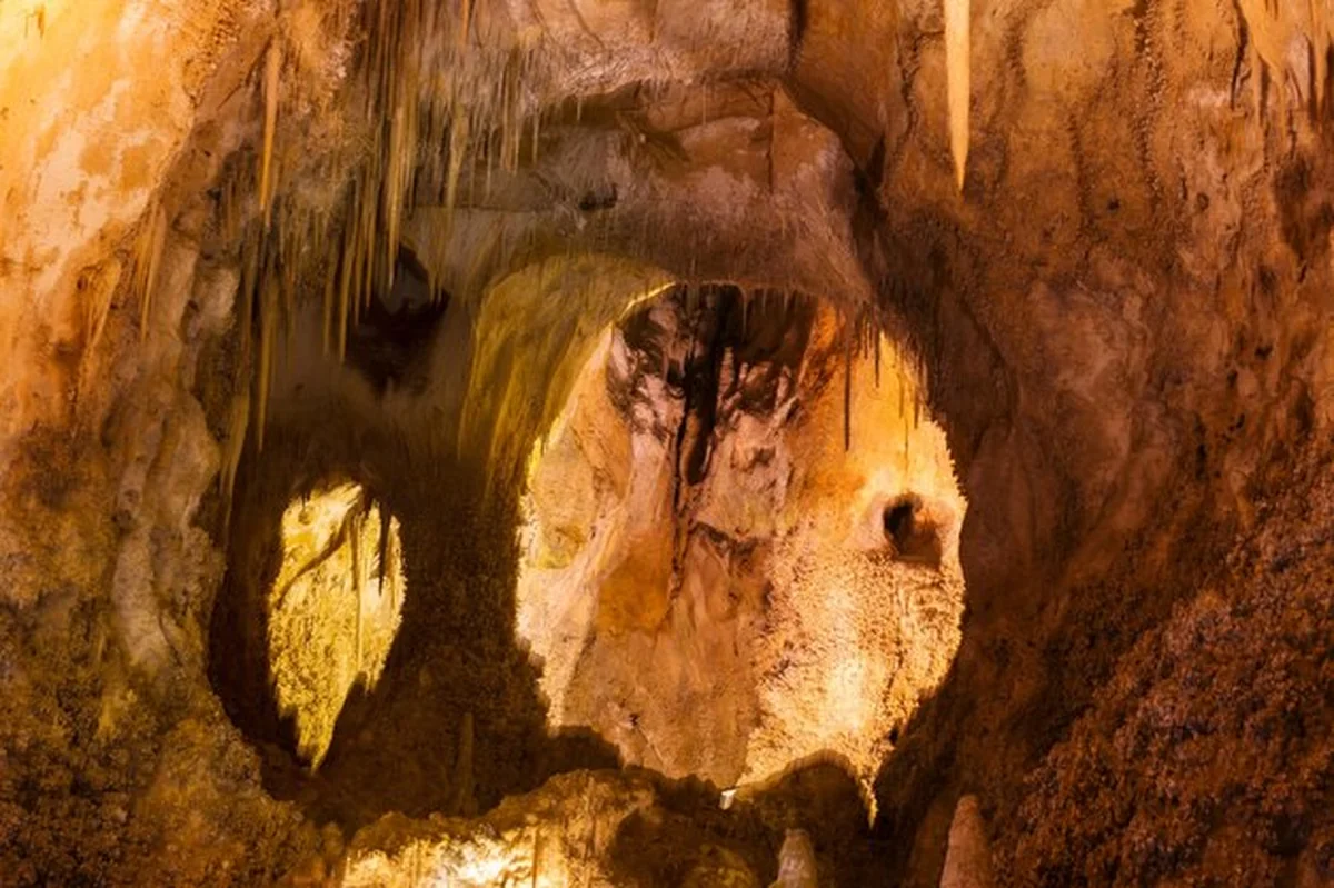 Park Narodowy Carlsbad Caverns w USA, Nowy Meksyk
