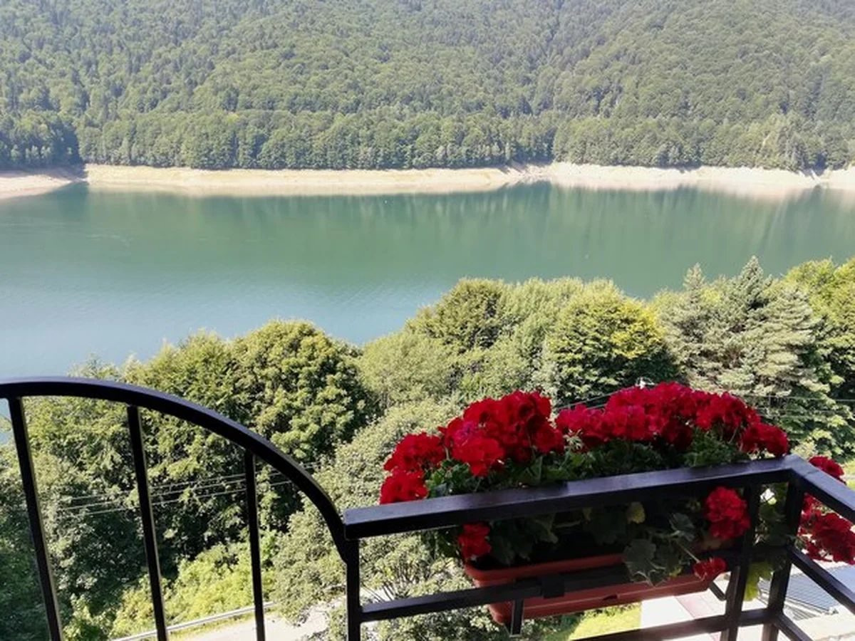 Sceniczny widok jeziora w lesie