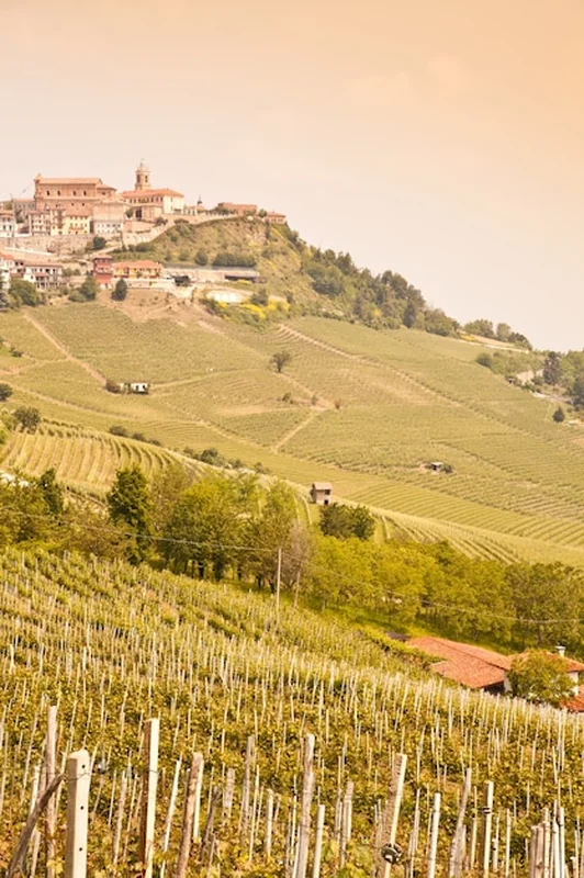 Winnica w Toskanii, region Chianti